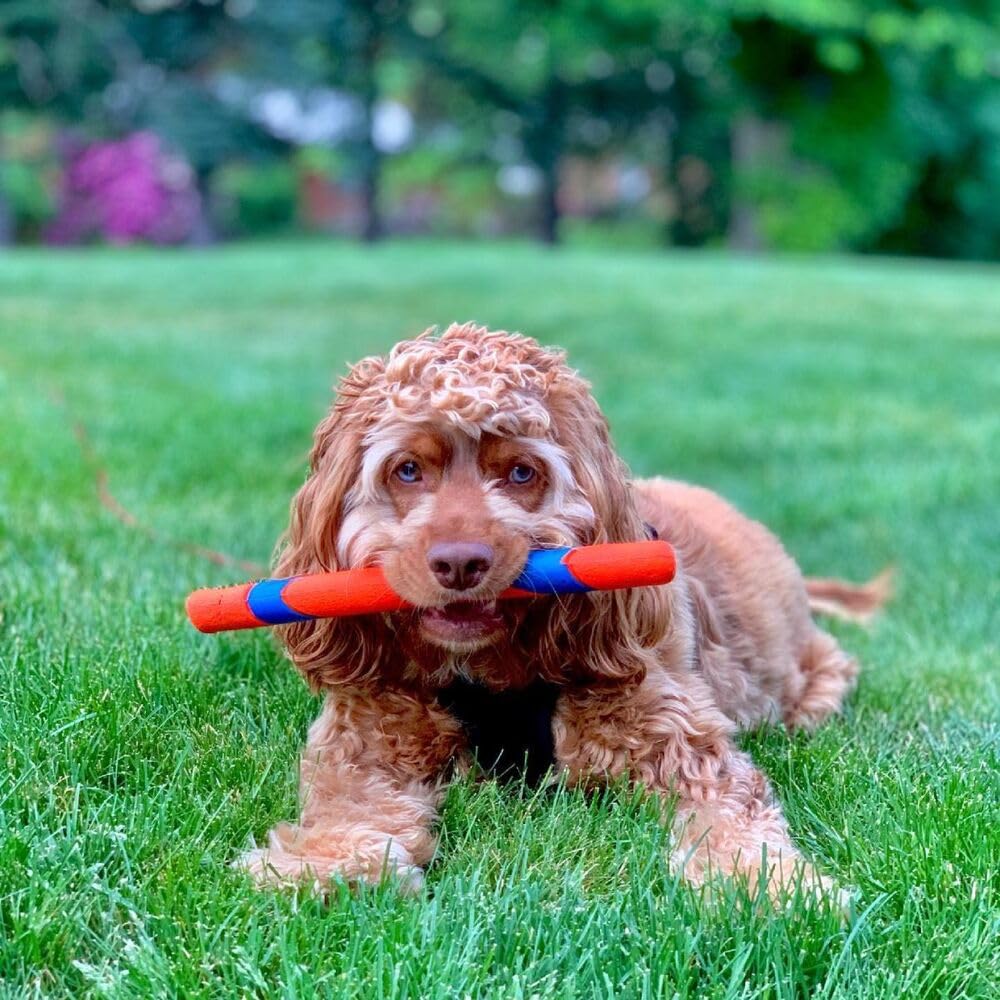 Chuckit! Interactive Dog Toy Ultra Fetch Stick. Chosen for real quality, fits naturally into modern