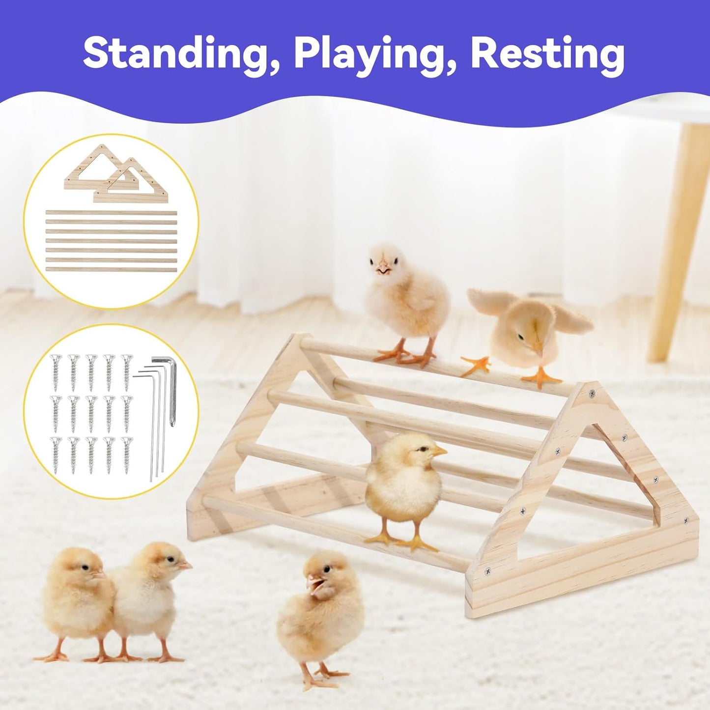 Pawaboo 5-in-1 Chicken Brooder Box for Chick Starter Kit, Includes Pet Cage Tent, Chicks Perch, Chicks Feeder, 1.1L Chick Waterer, Baby Chicken Supplies (Brooder Set), Black