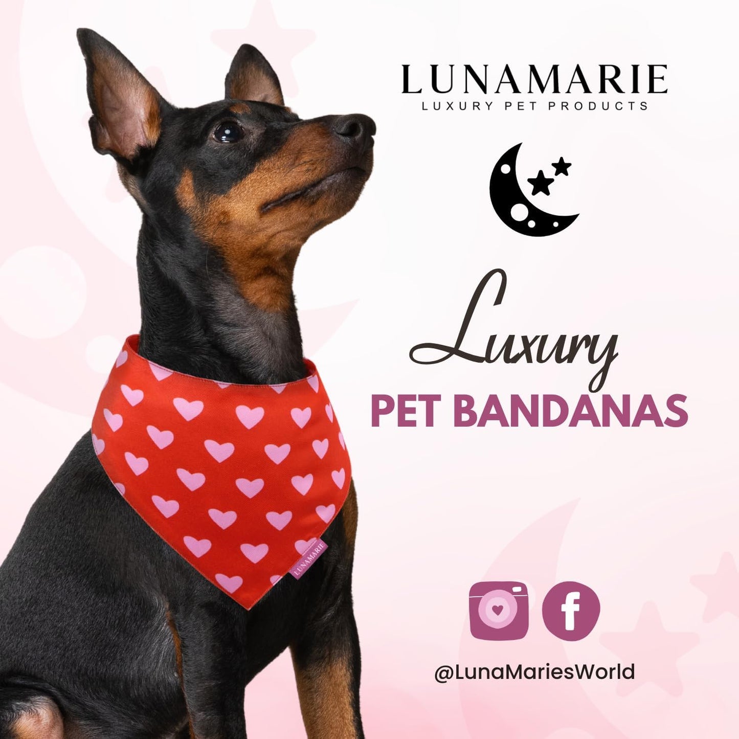LunaMarie - Luxury Pet Birthday Bandanas -Premium & Silky Poly Fabric | 100% Handmade | Custom Shape Dual Layered (Evie Hearts, Small)