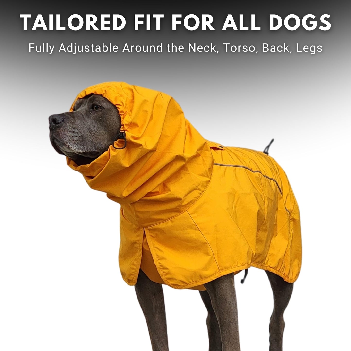 Spark Paws Dog Raincoat. Chosen for real quality, fits naturally into modern pet homes.