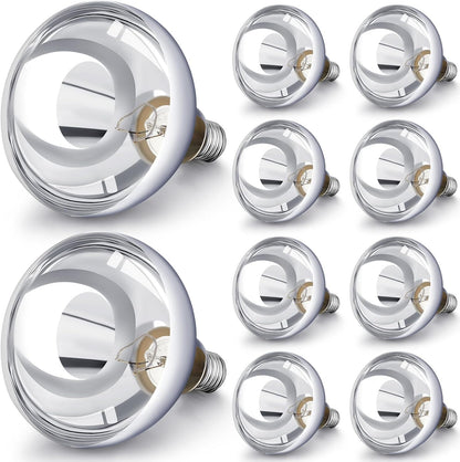 VIHOSE 10 Pack 250 Watt Heat Lamp 120v R40 Heat Lamp Bulbs Glass Incandescent Light Bulbs Incandescent Heating Lightbulbs for Reptiles Chicks Food Puppies Bathroom, Use E26 Base (Silver)