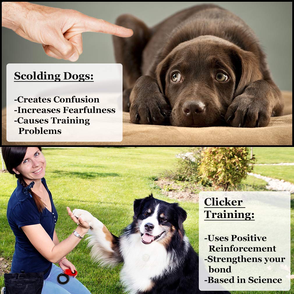 SunGrow Dog Clickers with Black Wrist Bands. Chosen for real quality, fits naturally into modern