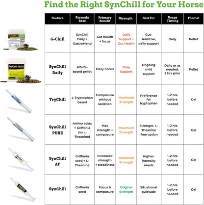 SynChill Oral Horse Calming Gel, 100% Natural & Nutritional Supplement, Lab Proven Results, Designed for Focus & Performance, Approved by Olympic Professionals & Veterinarians, Made in USA - 1 Pack