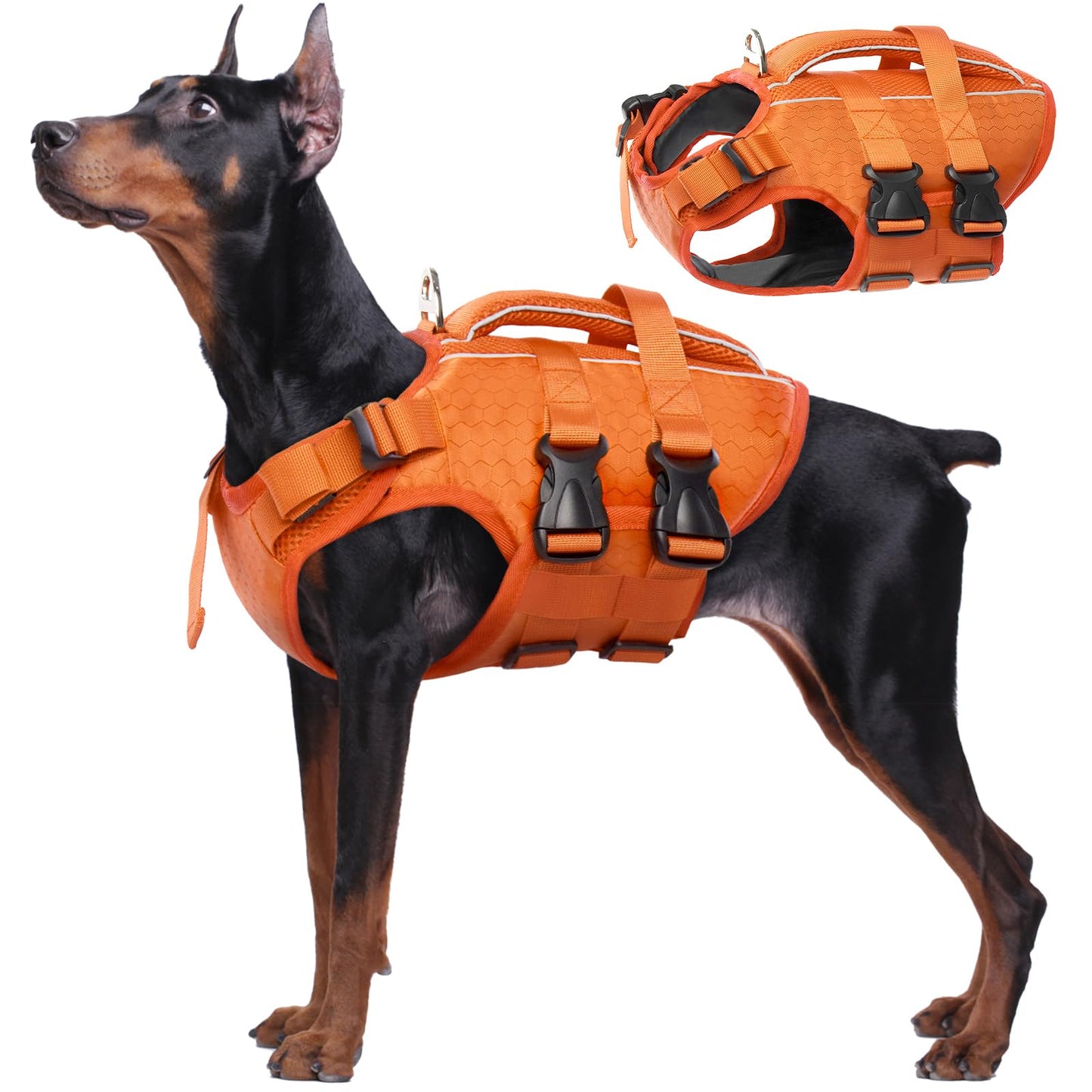 Kuoser Dog Life Jacket. Chosen for real quality, fits naturally into modern pet homes.