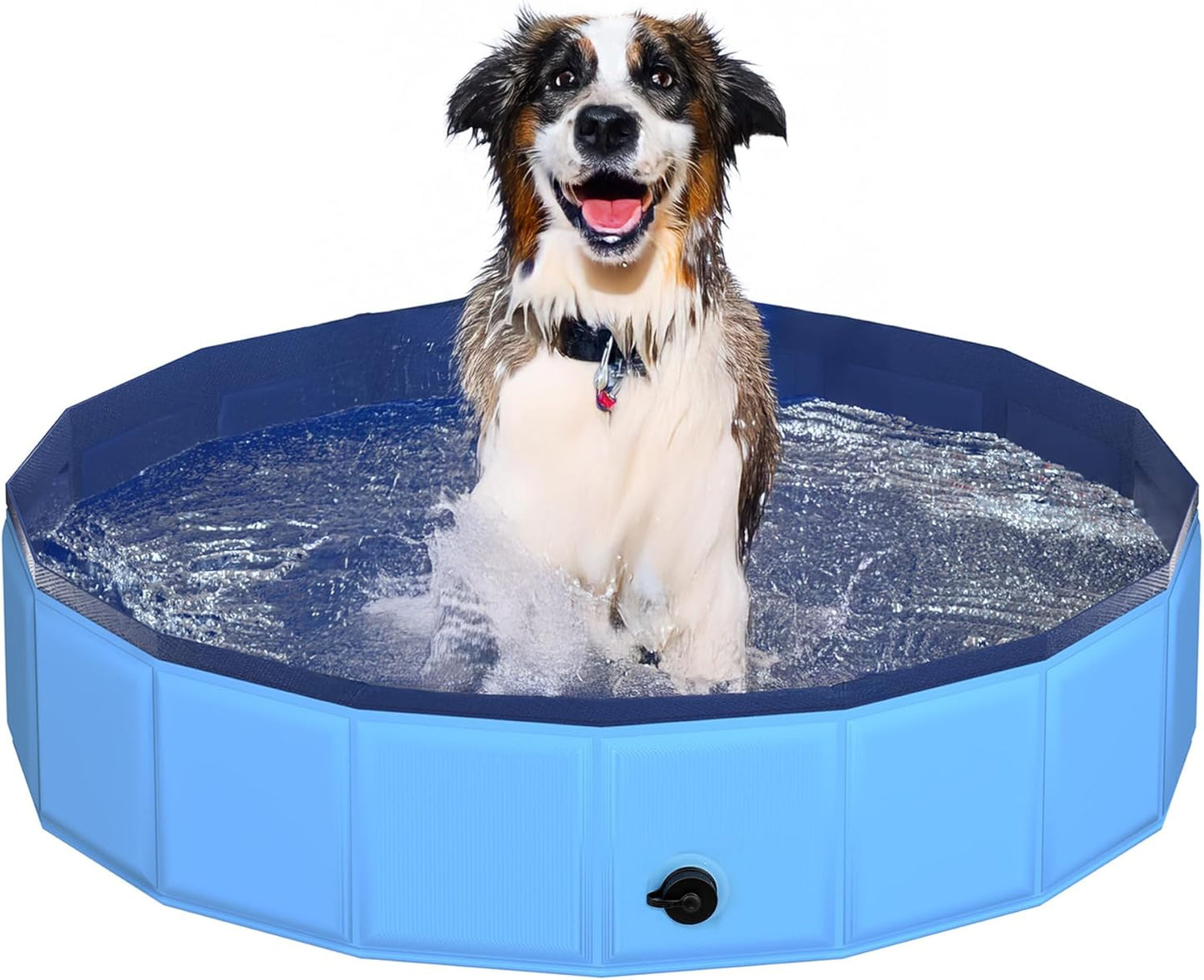 39.5" x 12" Foldable Dog Pool - Collapsible Hard Plastic Kiddie Pool for Dogs & Kids, Non-Slip Pet Bath Tub for Outdoor Backyard Use, Lightweight & Portable (Blue)