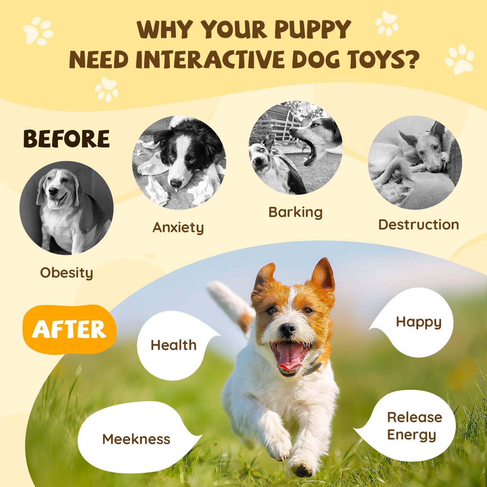 COPHCY Moving Dog Ball. Chosen for real quality, fits naturally into modern pet homes.