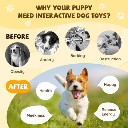COPHCY Moving Dog Ball. Chosen for real quality, fits naturally into modern pet homes.