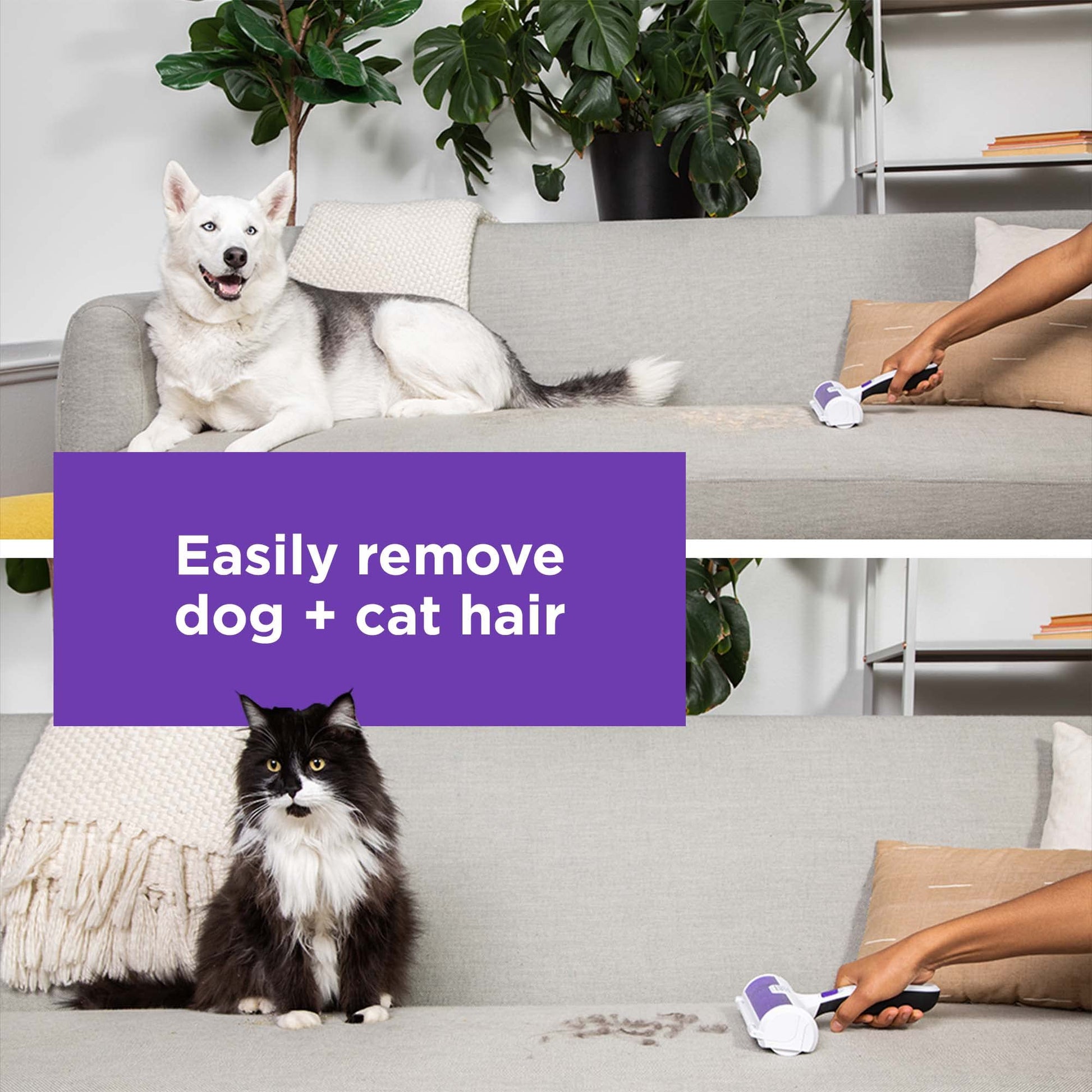 BLACK+DECKER Pet Hair Remover. Chosen for real quality, fits naturally into modern pet homes.