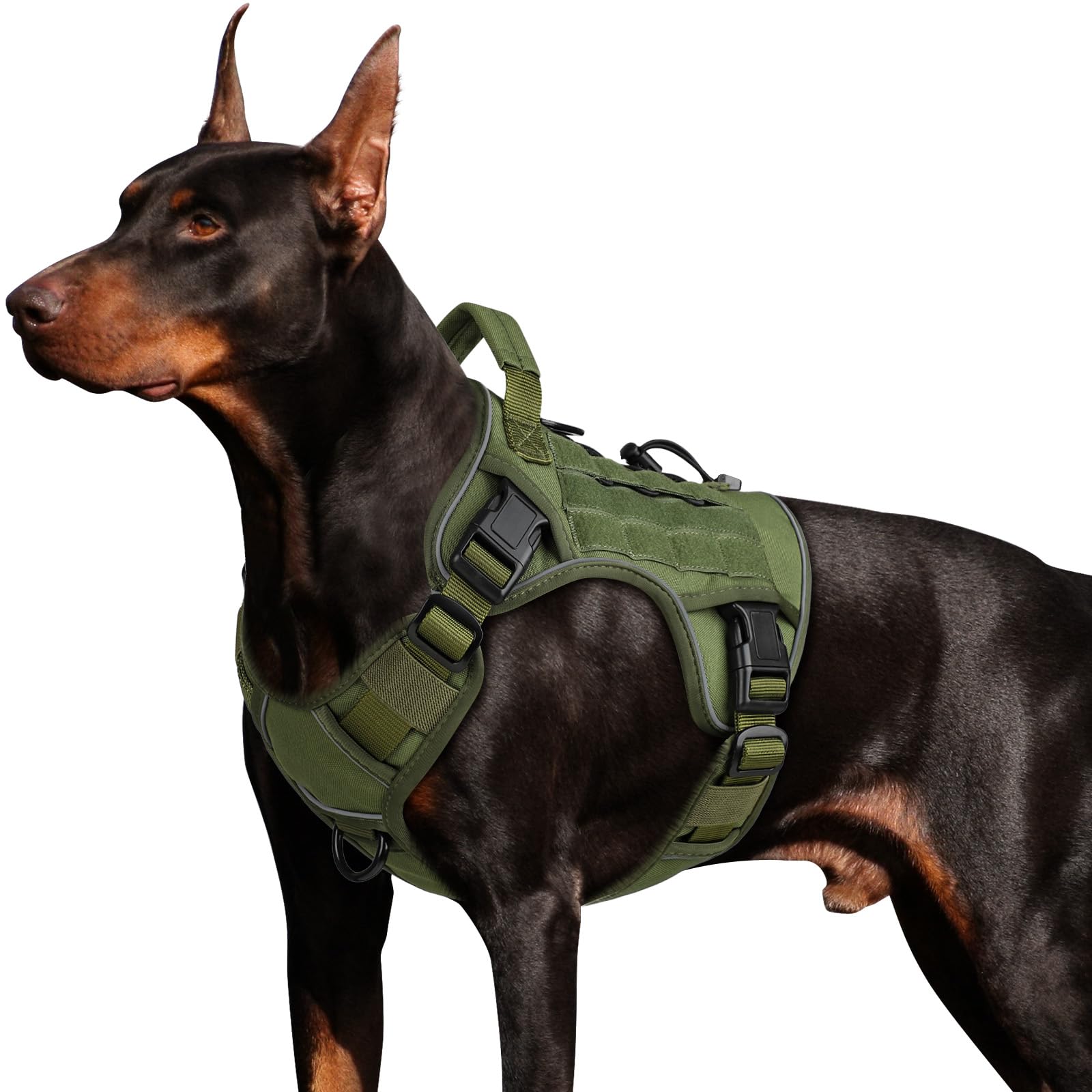WINGOIN Tactical Dog Harness for Large Dogs. Chosen for real quality, fits naturally into modern