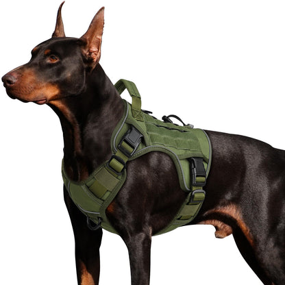 WINGOIN Tactical Dog Harness for Large Dogs. Chosen for real quality, fits naturally into modern