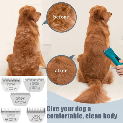 3PCS Wide Blades for Dog Grooming Blades Compatible with Andis,Oster A5,Wahl km10 Dog Clippers Stainless Steel Blades Blades for Animal Dog,Cat,Horse,Silver Size #10W+30W+5FW