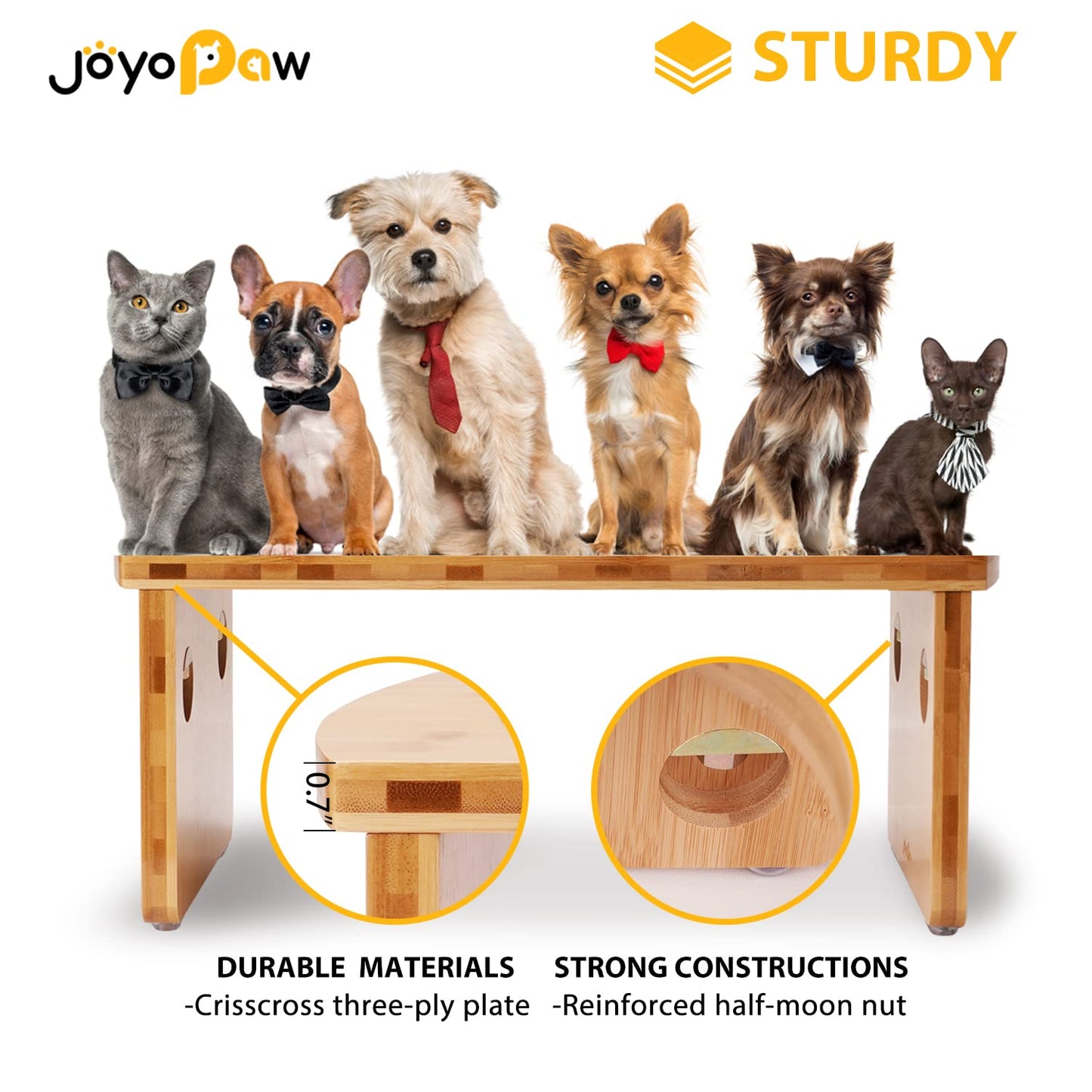 Elevated Dog Bowls. Chosen for real quality, fits naturally into modern pet homes.