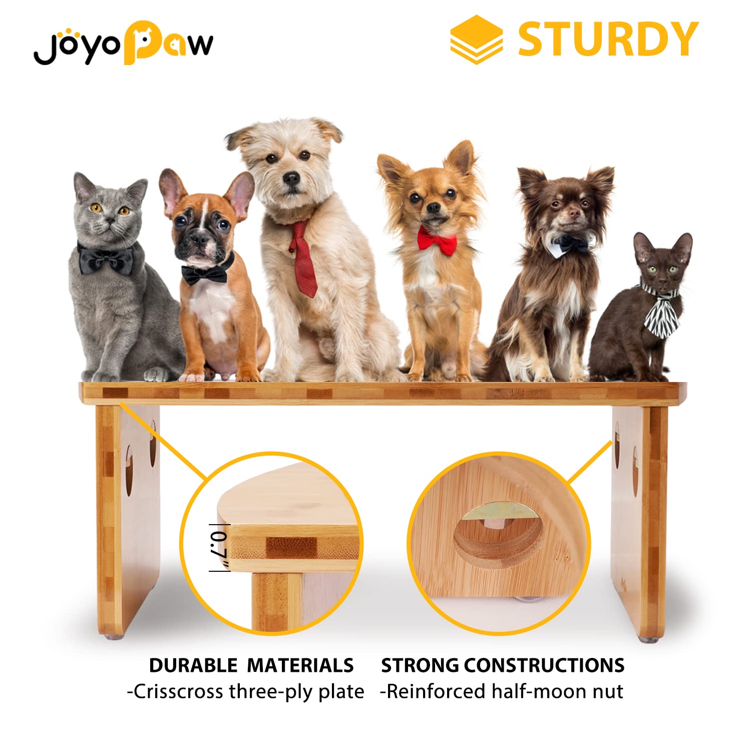 Elevated Dog Bowls. Chosen for real quality, fits naturally into modern pet homes.