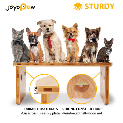Elevated Dog Bowls. Chosen for real quality, fits naturally into modern pet homes.