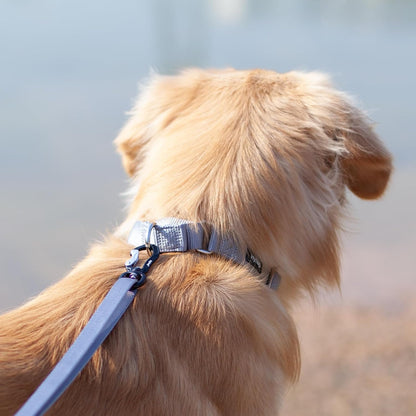 Hyhug Pets Premium Upgraded Heavy Duty Nylon Anti-Escape Medium Martingale Collar for Boy and Girl Dogs Comfy and Safe - Professional Training, Daily Use Walking. (Medium, Sleet Gray)