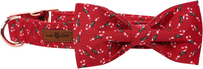 Lionet Paws Dog Collar with Bowtie, Medium, Candy Cane, Cotton, Detachable Bowtie, Unique Stylish Patterns, For Dogs, Adult, Medium Breed