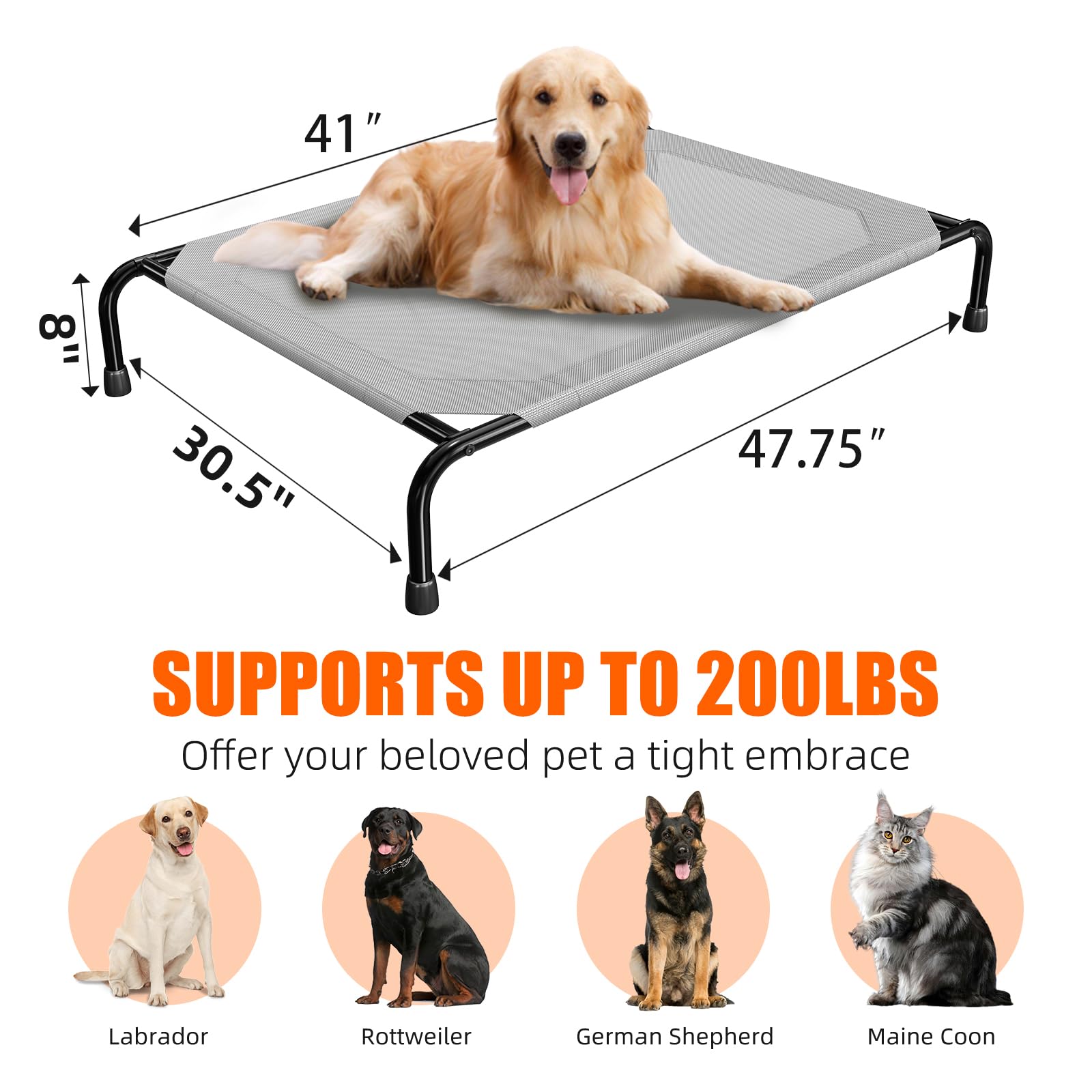 Simple Trending Raised Dog Bed for Large Dogs. Chosen for real quality, fits naturally into modern