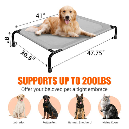 Simple Trending Raised Dog Bed for Large Dogs. Chosen for real quality, fits naturally into modern