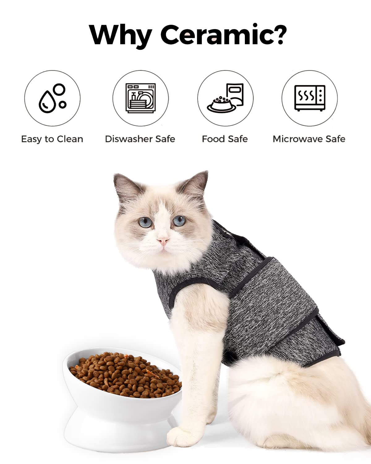 LoeJan Elevated Cat Food Bowl. Chosen for real quality, fits naturally into modern pet homes.