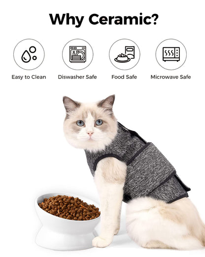 LoeJan Elevated Cat Food Bowl. Chosen for real quality, fits naturally into modern pet homes.