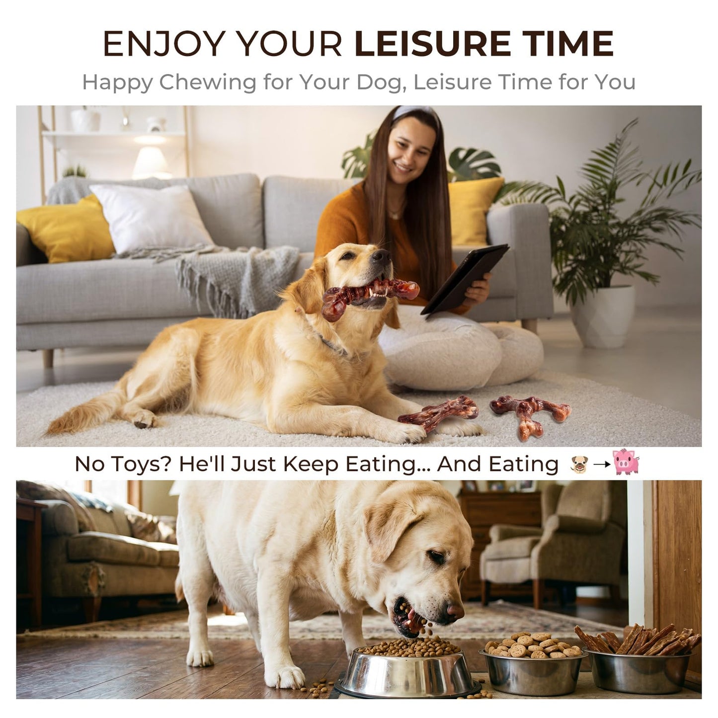 Kseroo 3. Chosen for real quality, fits naturally into modern pet homes.