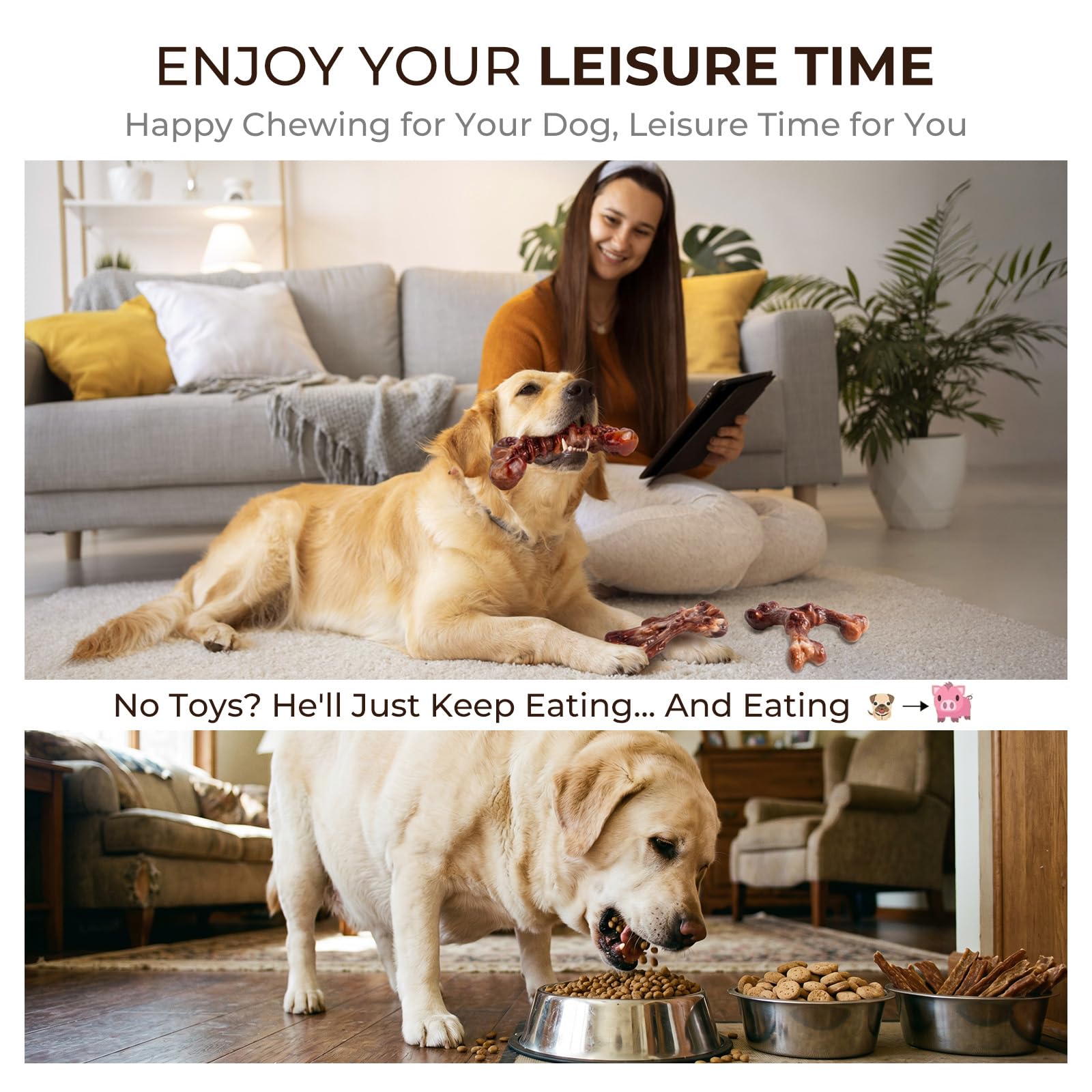 Kseroo 3. Chosen for real quality, fits naturally into modern pet homes.