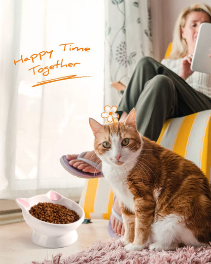 Raised Cat Food Bowl Ceramic 15° Tilted Cat Food Bowls. Chosen for real quality, fits naturally
