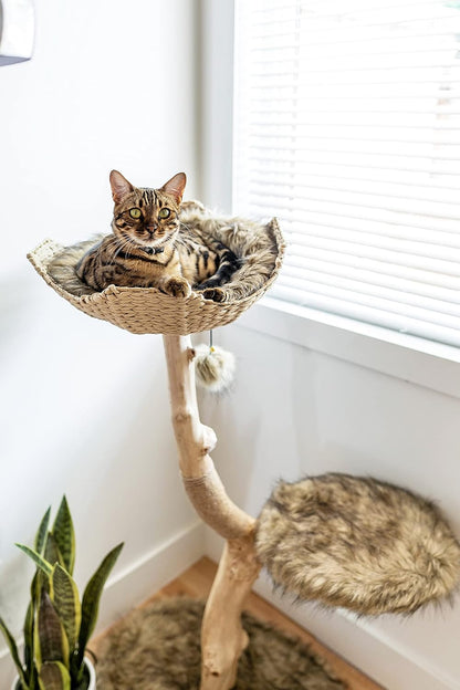 Wooden Cat Tree Tower, Modern Single Branch Cat Condo, Wood Cat Tree, Cat Climbing, Furniture for Cat, Cat Lover Gift, Cat Furniture,Cat Gift by MAU LIFESTYLE (Brown)