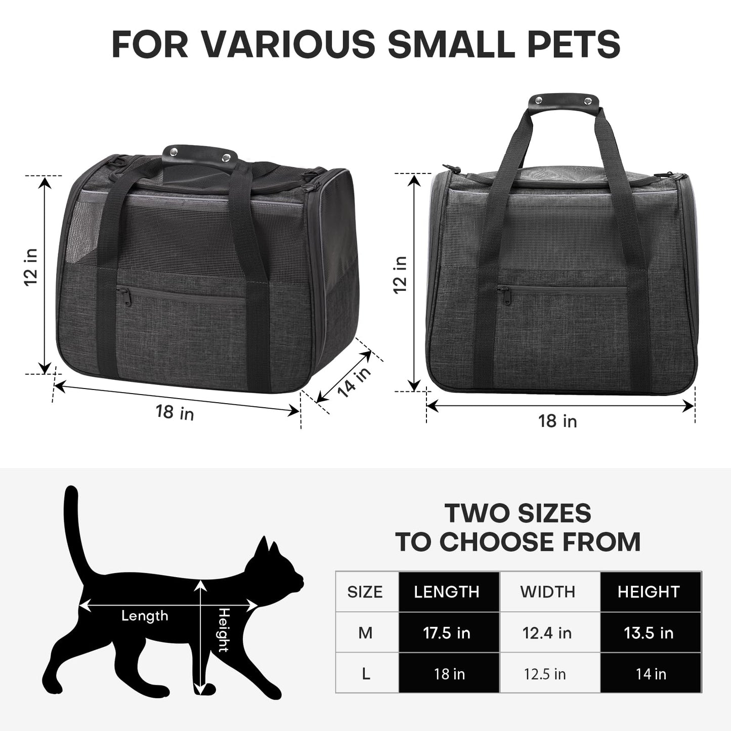 JUNGYOUN Premium ​Cat Carrier. Chosen for real quality, fits naturally into modern pet homes.