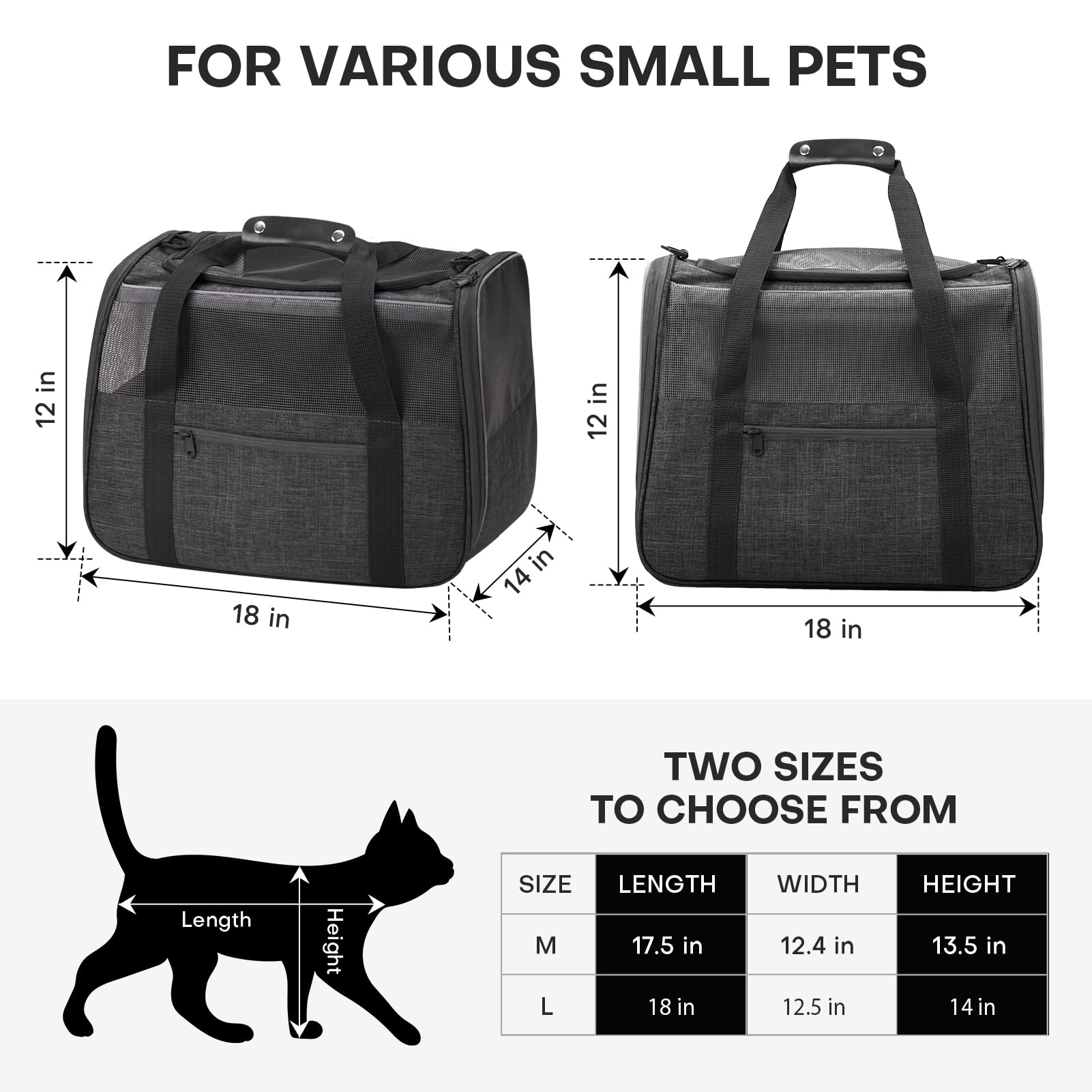 JUNGYOUN Premium ​Cat Carrier. Chosen for real quality, fits naturally into modern pet homes.