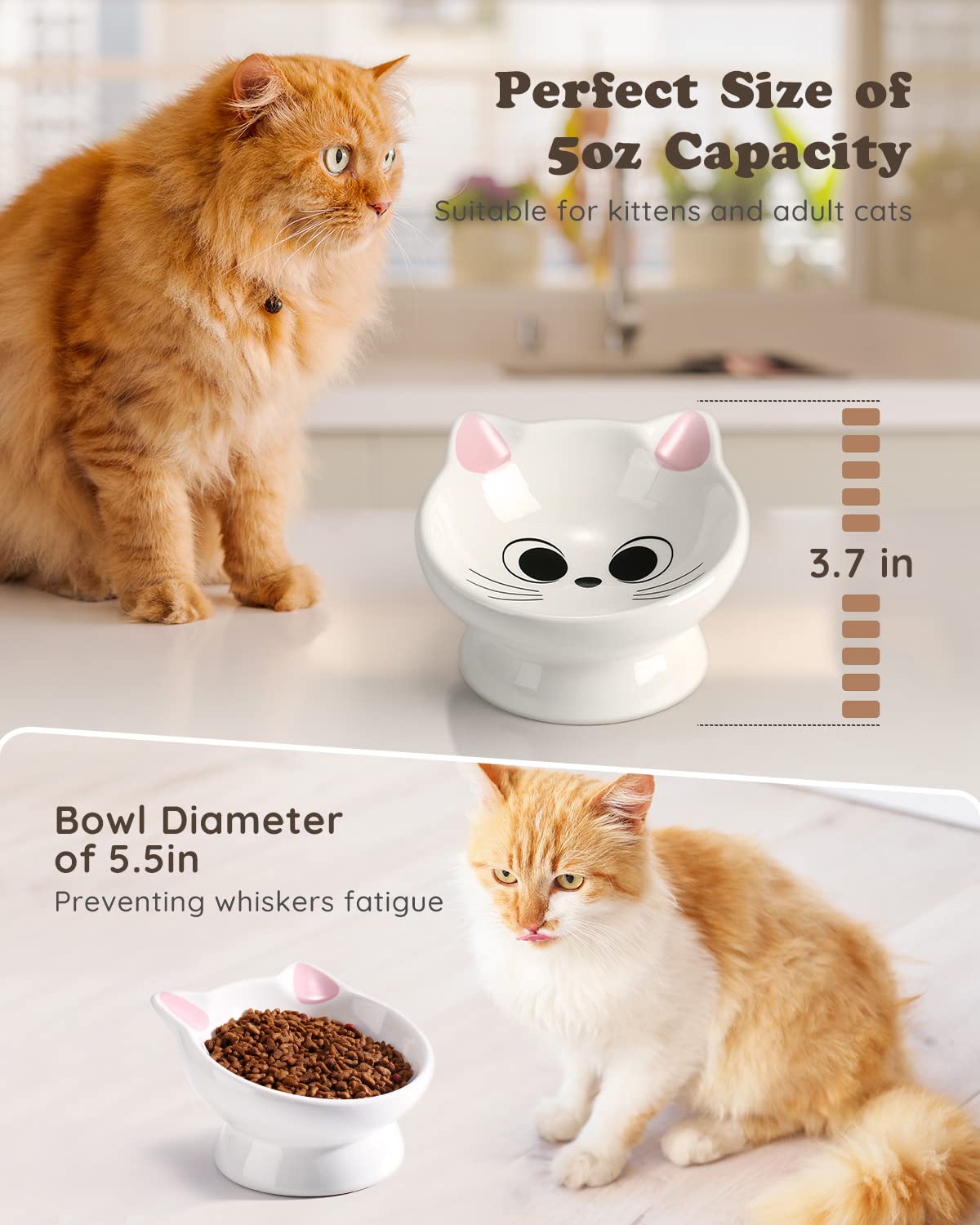 Raised Cat Food Bowl Ceramic 15° Tilted Cat Food Bowls. Chosen for real quality, fits naturally