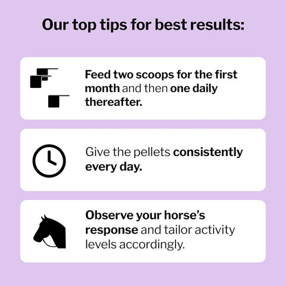 Formula 707 Joint 6in1 Equine Supplement 5 lb Bag - Support for Joint Integrity and Inflammatory Response in Horses - Green-Lipped Mussel, MSM, Glucosamine, Chondroitin & Collagen