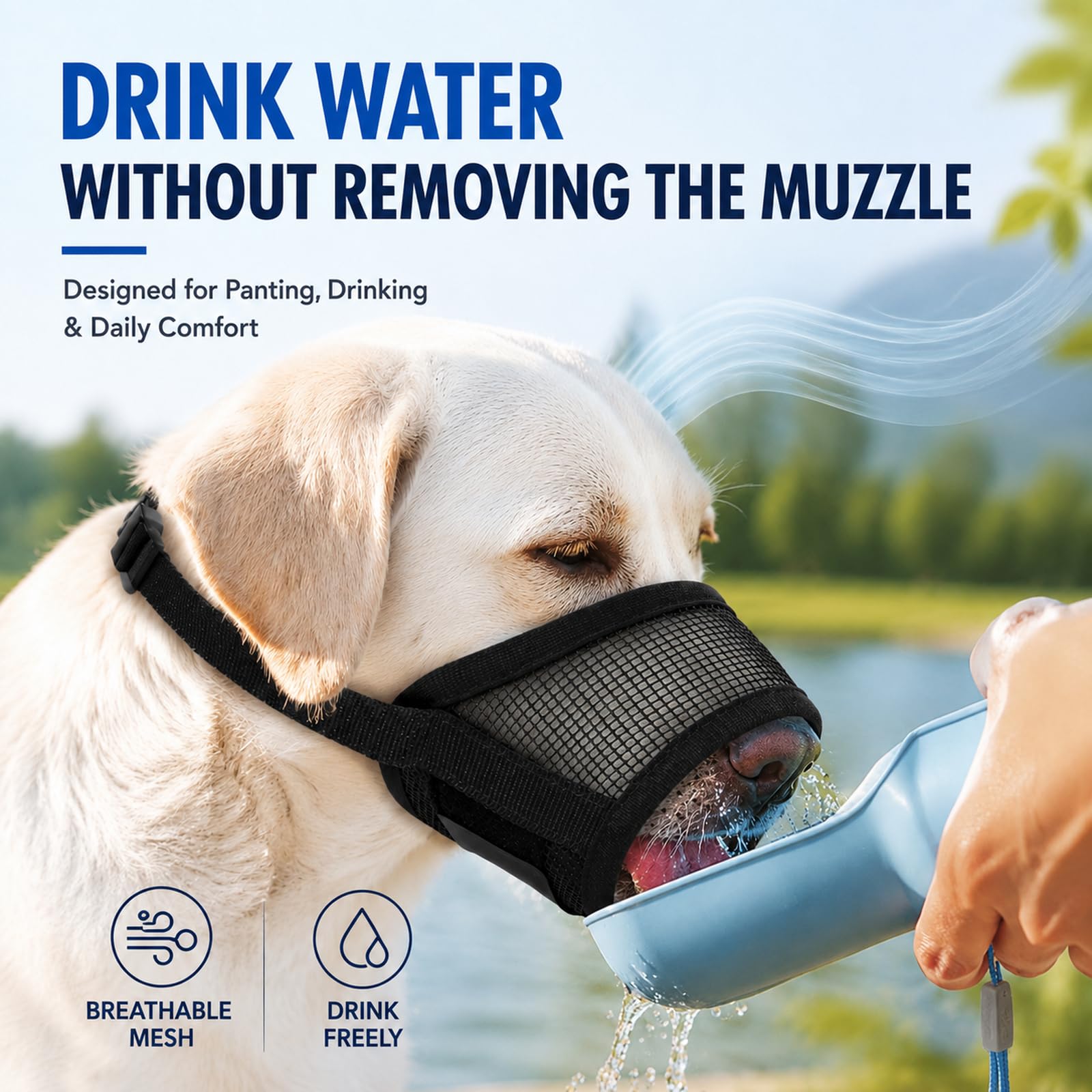 Dog Muzzle. Chosen for real quality, fits naturally into modern pet homes.