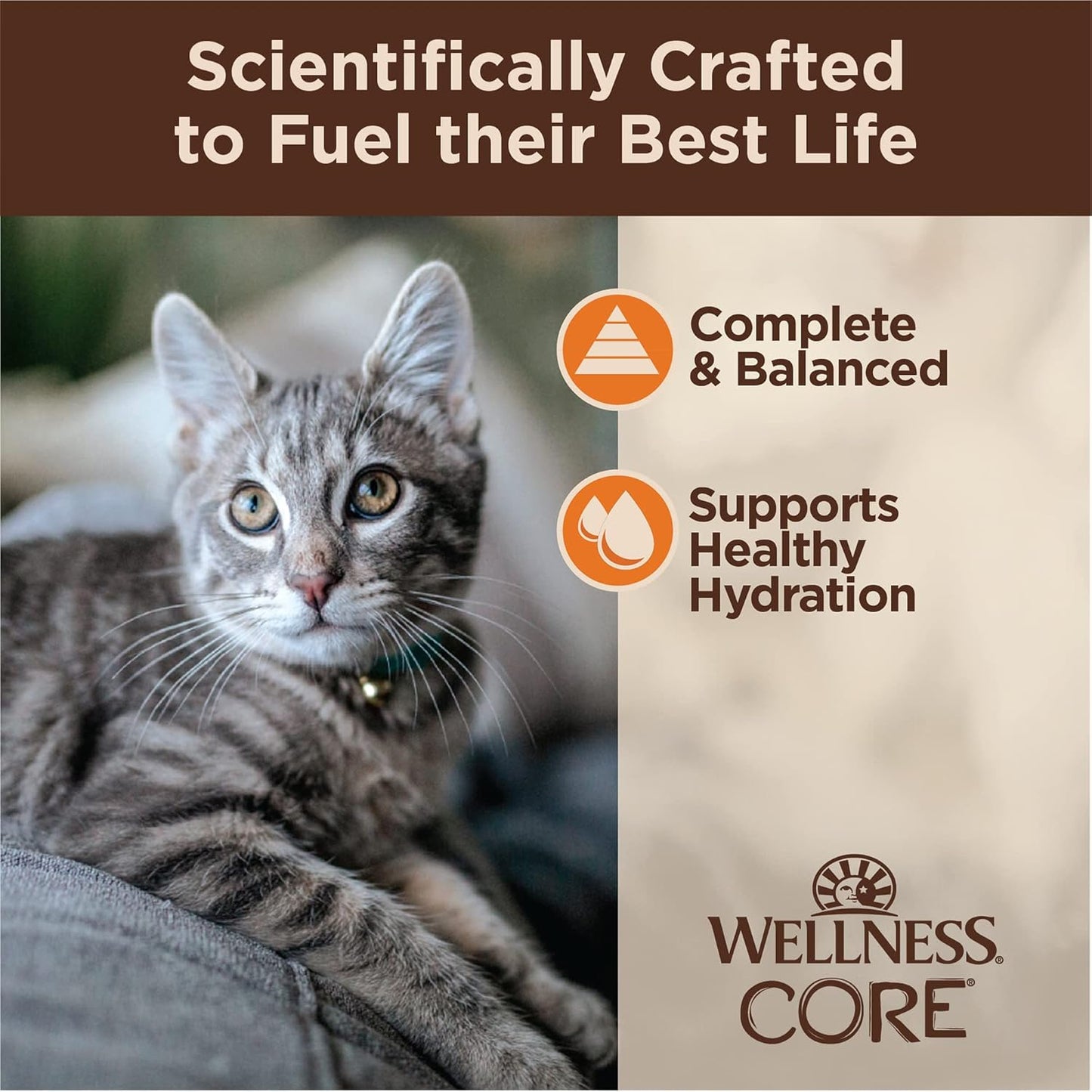Wellness CORE Tiny Tasters Minced Adult Wet Cat Food, Natural, Protein-Rich, Grain Free, 1.75-Ounce Pouch, 12 Pack, (Chicken)
