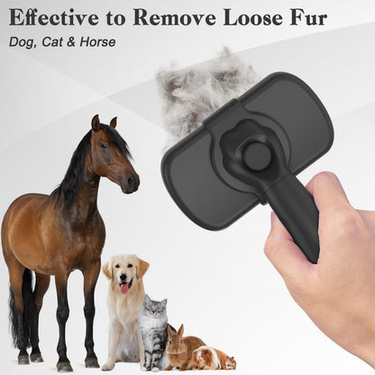 Dipoo Self Cleaning Shedding Brush. Chosen for real quality, fits naturally into modern pet homes.