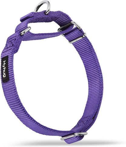Hyhug Pets Premium Upgraded Heavy Duty Nylon Anti-Escape Martingale Collar for Boy and Girl Dogs Comfy and Safe - Daily Use Walking and Professional Training. (Large, Ultra Violet)
