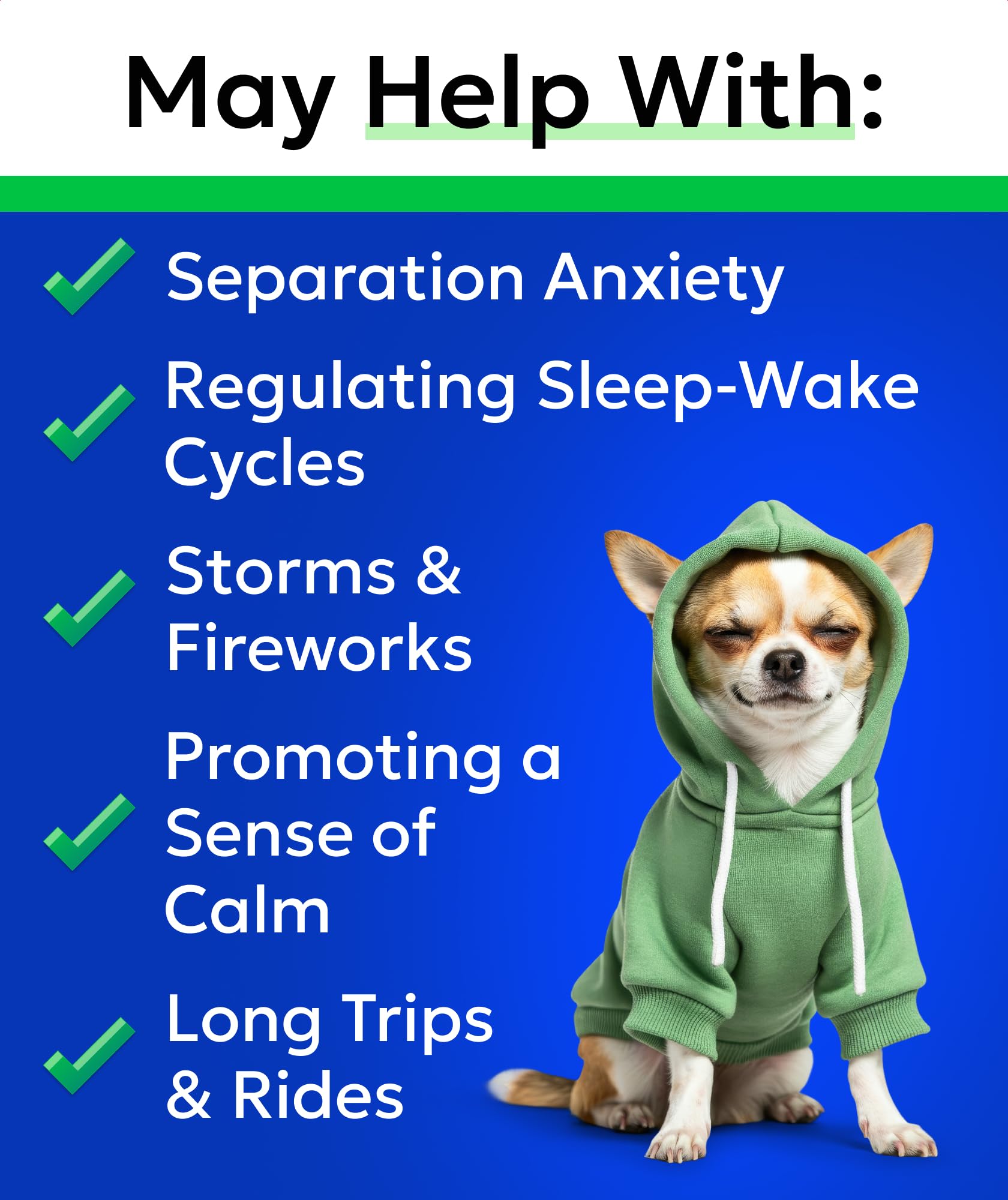 Hemp Calming Treats for Dogs. Chosen for real quality, fits naturally into modern pet homes.