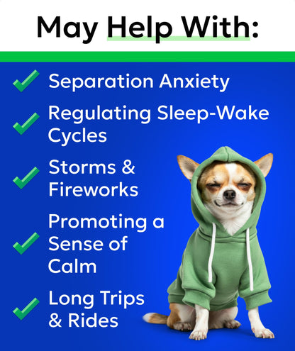 Hemp Calming Treats for Dogs. Chosen for real quality, fits naturally into modern pet homes.