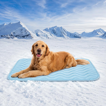 Cooling Mat for Large Dogs. Chosen for real quality, fits naturally into modern pet homes.