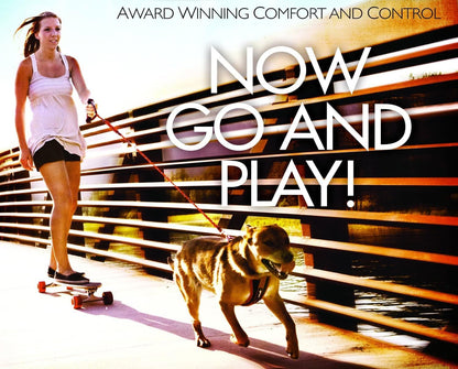 EzyDog CLICK – Dog Seat Belt for Car, Dog Harness Adjustable Seatbelt Attachment – Heavy Duty Nylon Seat Belt Webbing (17.5in - 26in)