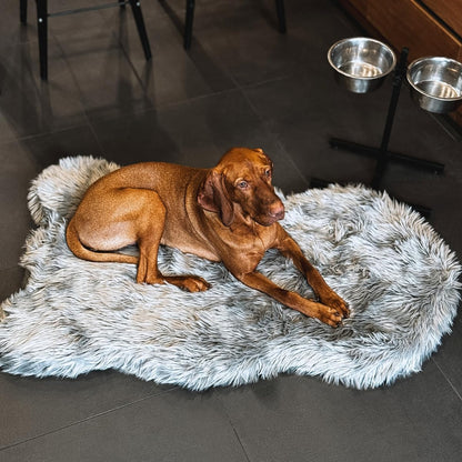 IHAPPYDOG Luxury Faux Fur Orthopedic Dog Bed, Memory Foam Dog Bed for Small, Medium, Large and XL Pets, Fluffy Pet Bed with Waterproof and Washable Cover (Grey, 50"x30")