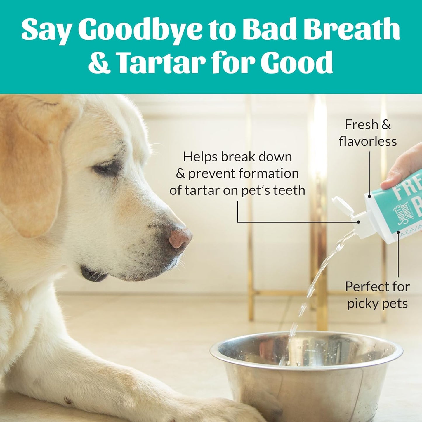 SKOUT'S HONOR Fresher Breath Water Additive for Pets - VOHC Accepted for Tartar Control, Freshens Breath Fast, No Brushing Required: Fresh & Flavorless 16oz - 2 Pack