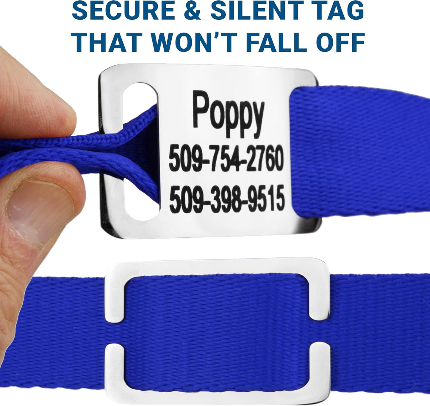 GoTags Personalized Dog Collar with Nameplate, Adjustable Dog Collar with Custom Engraved Slide On Pet ID Tag in Stainless Steel, Silent, No Noise Dog Tag for Large Medium and Small (Blue, Small)