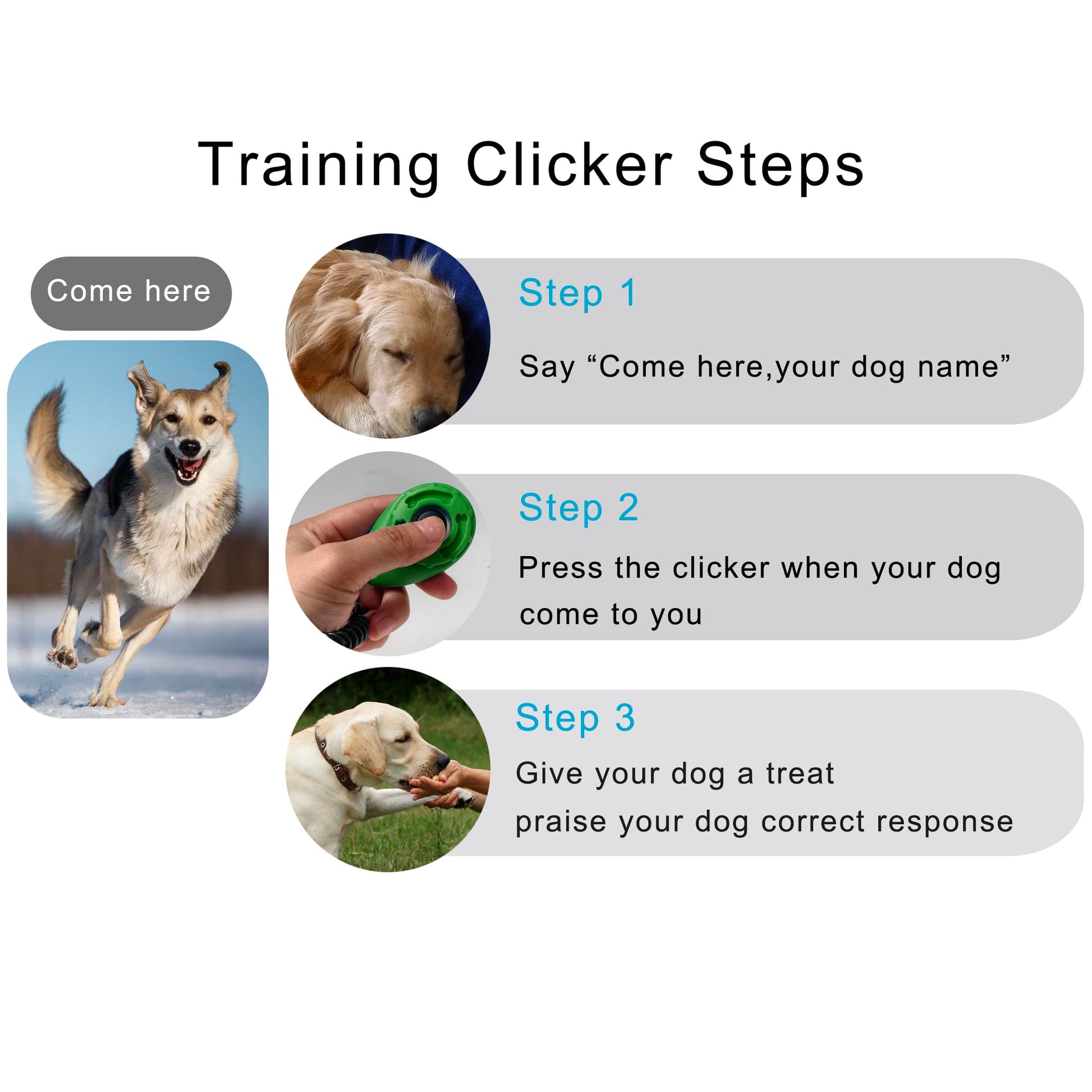 HoAoOo Pet Training Clicker with Wrist Strap. Chosen for real quality, fits naturally into modern