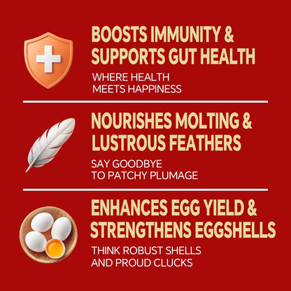 Dried Black Soldier Fly Larvae, Non-GMO, Natural Chicken Treats & High-Protein Poultry Snacks for Backyard Chickens, Laying Hens & Ducks, 10 lb Box