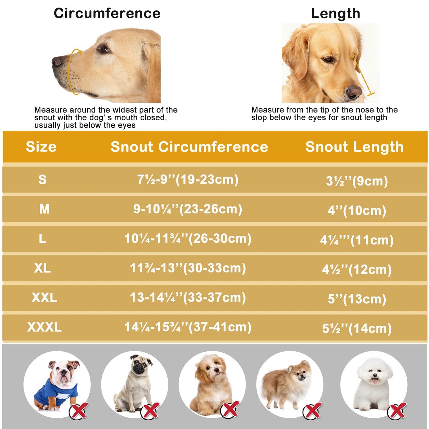 Dog Muzzle. Chosen for real quality, fits naturally into modern pet homes.