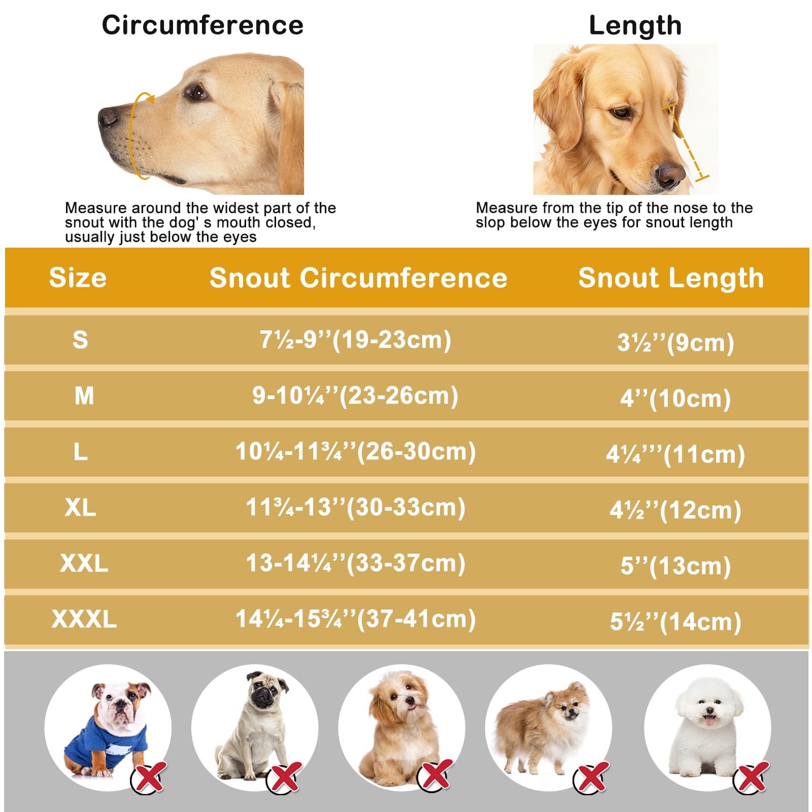 Dog Muzzle. Chosen for real quality, fits naturally into modern pet homes.