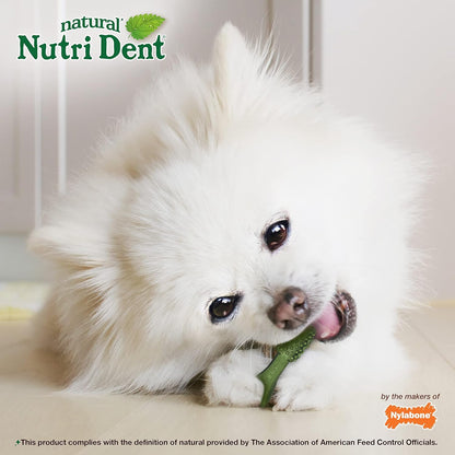 Nylabone Nutri Dent Dog Dental Chews - Natural Dog Teeth Cleaning & Breath Freshener - Dental Treats for Dogs - Fresh Breath Flavor, Mini (32 Count)
