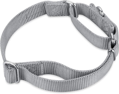 Hyhug Pets Premium Upgraded Heavy Duty Nylon Anti-Escape Medium Martingale Collar for Boy and Girl Dogs Comfy and Safe - Professional Training, Daily Use Walking. (Medium, Sleet Gray)