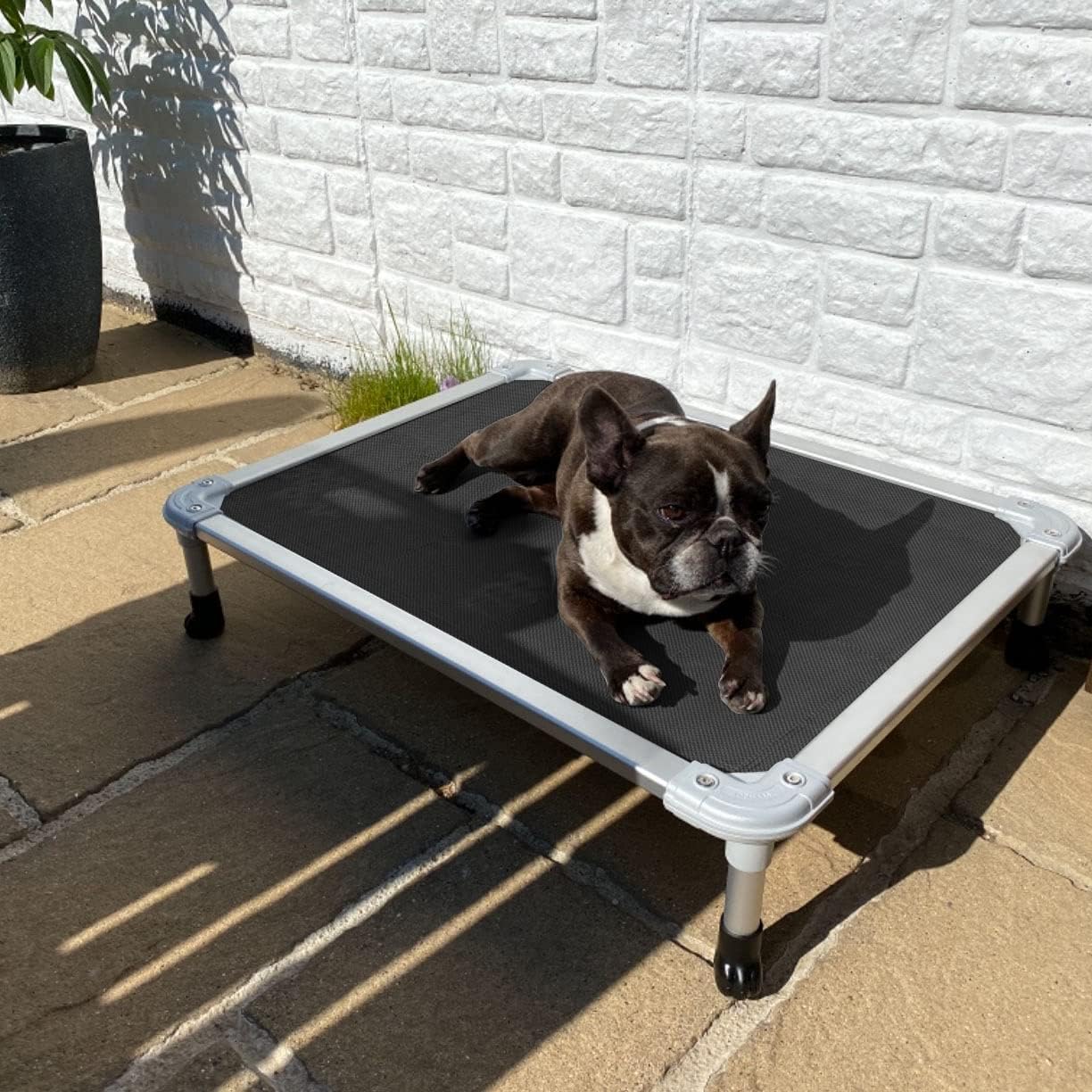 Veehoo Chew Proof Elevated Dog Bed - Cooling Raised Pet Cot - Silver Aluminum Frame and Durable Textilene Mesh Fabric, Unique Designed No-Slip Feet for Indoor or Outdoor Use, Black, Medium, CWC2003